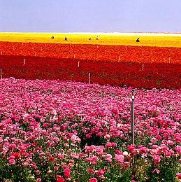 《勇者斗恶龙3：HD-2D重制版》预告 新要素介绍