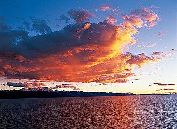 前《巫师3》团队新作《黎明行者之血》正式公开