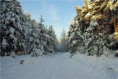 《建筑模拟器》上线Steam 9月20日发售支持中文